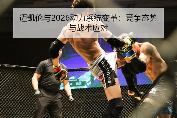 mai-kai-lun-yu-dong-li-xi-tong-bian-ge-jing-zheng-tai-shi-yu-zhan-shu-ying-dui-2-628.jpg